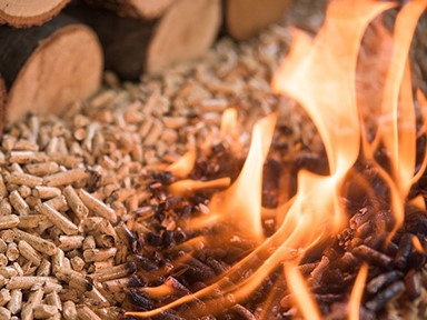 Giải mã chất trung tính carbon của viên trấu