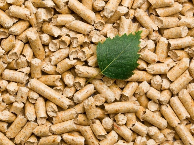 Lợi thế lớn của Việt Nam trong xuất khẩu