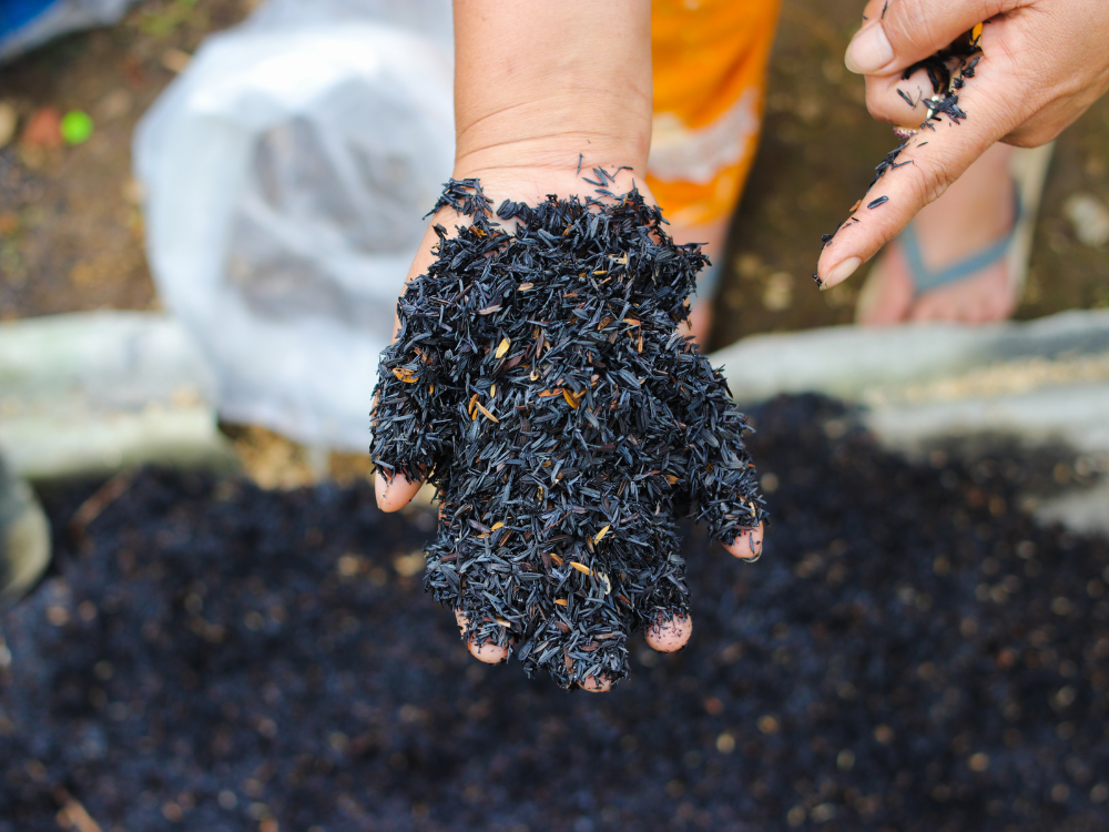 Làm tơi xốp đất, cải thiện cấu trúc đất