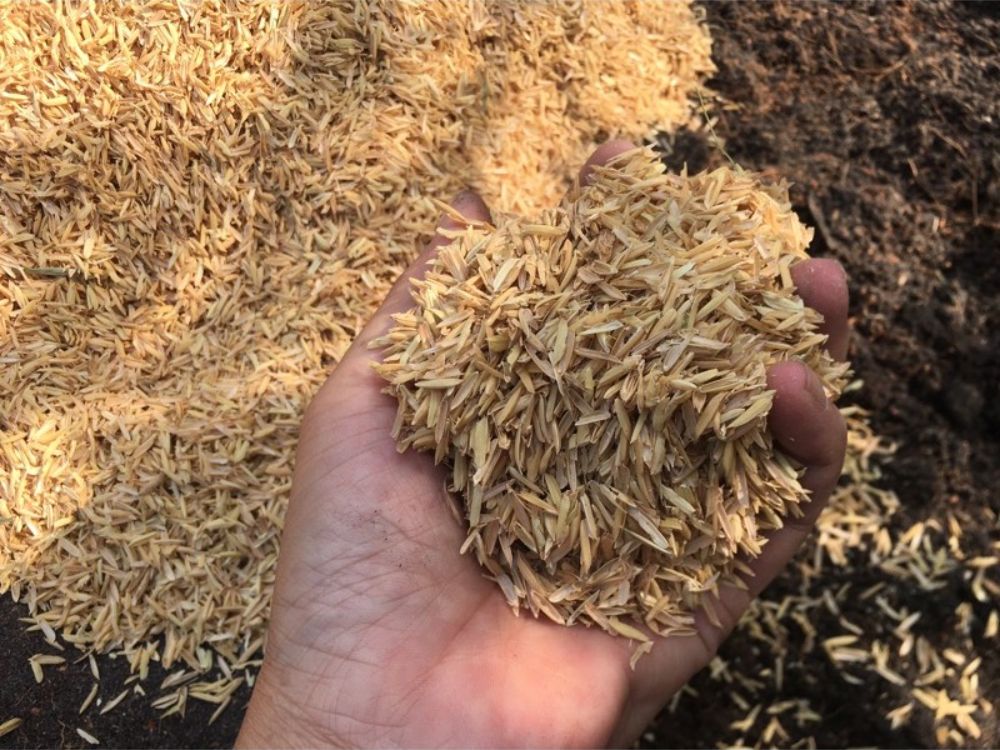 Các phương pháp tận dụng trấu phổ biến hiện nay