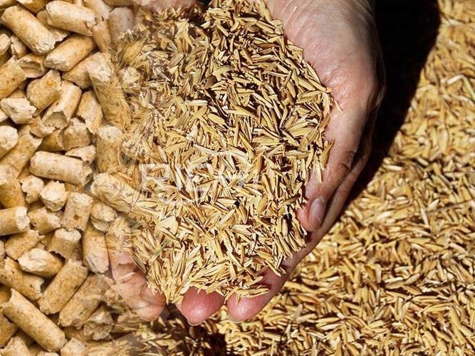 Nhu cầu nhập khẩu biomass tăng mạnh