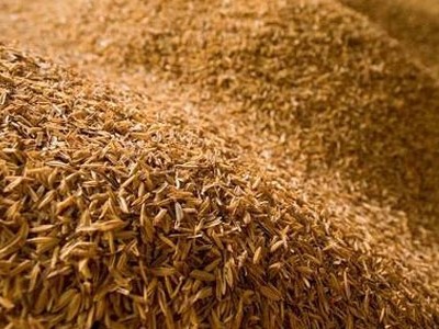 Cấu tạo của hạt lúa