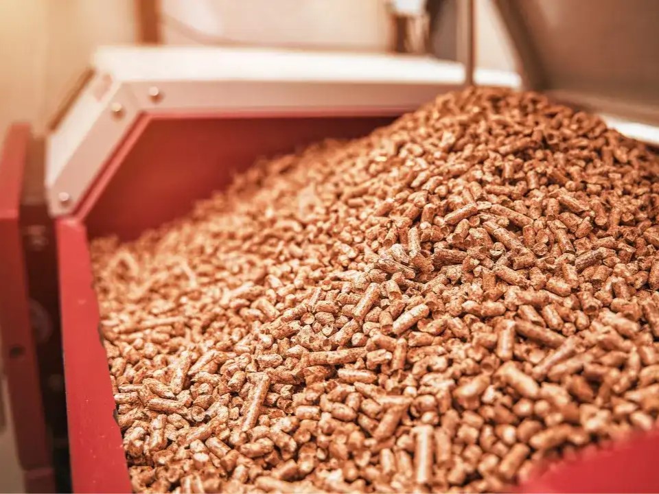 Trong trồng trọt thần dược cải tạo đất và tăng năng xuất