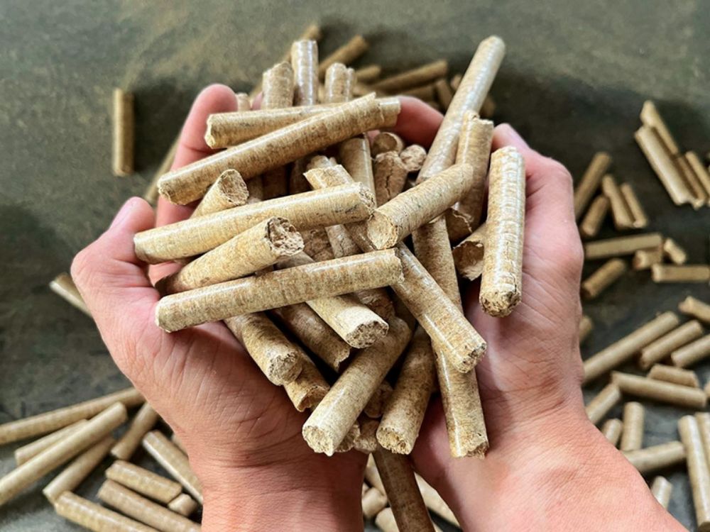 Ưu điểm của trấu viên trong bảo quản và lưu trữ lâu dài