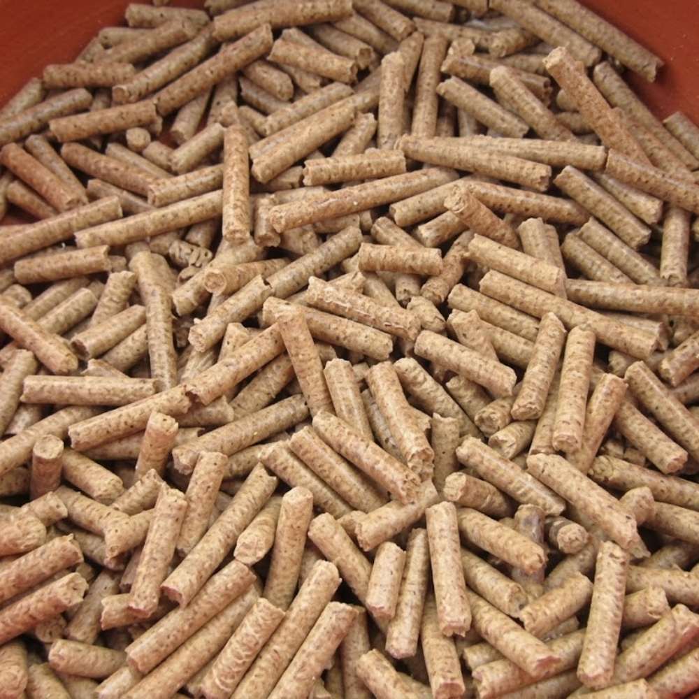 Trấu Viên Trong Ngành Sấy Nông Sản Và Thực Phẩm – Giải Pháp Nhiên Liệu Tiết Kiệm Và Bền Vững