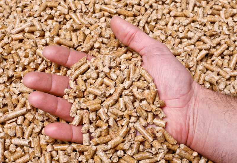 Màu sắc tự nhiên