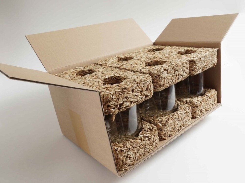 9. Vật liệu sinh học trong công nghiệp