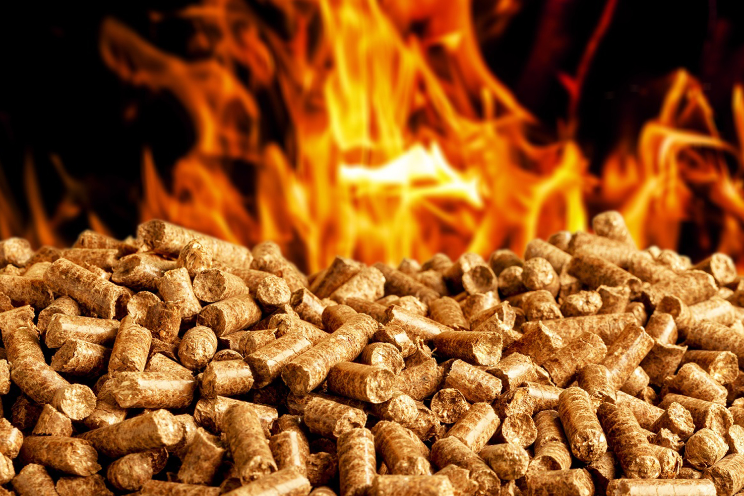 Vậy sử dụng loại nào hiệu quá hơn