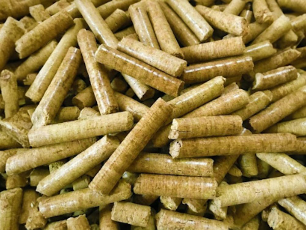 So sánh hiệu suất nhiệt giữa trấu viên và than đá trong sản xuất công nghiệp