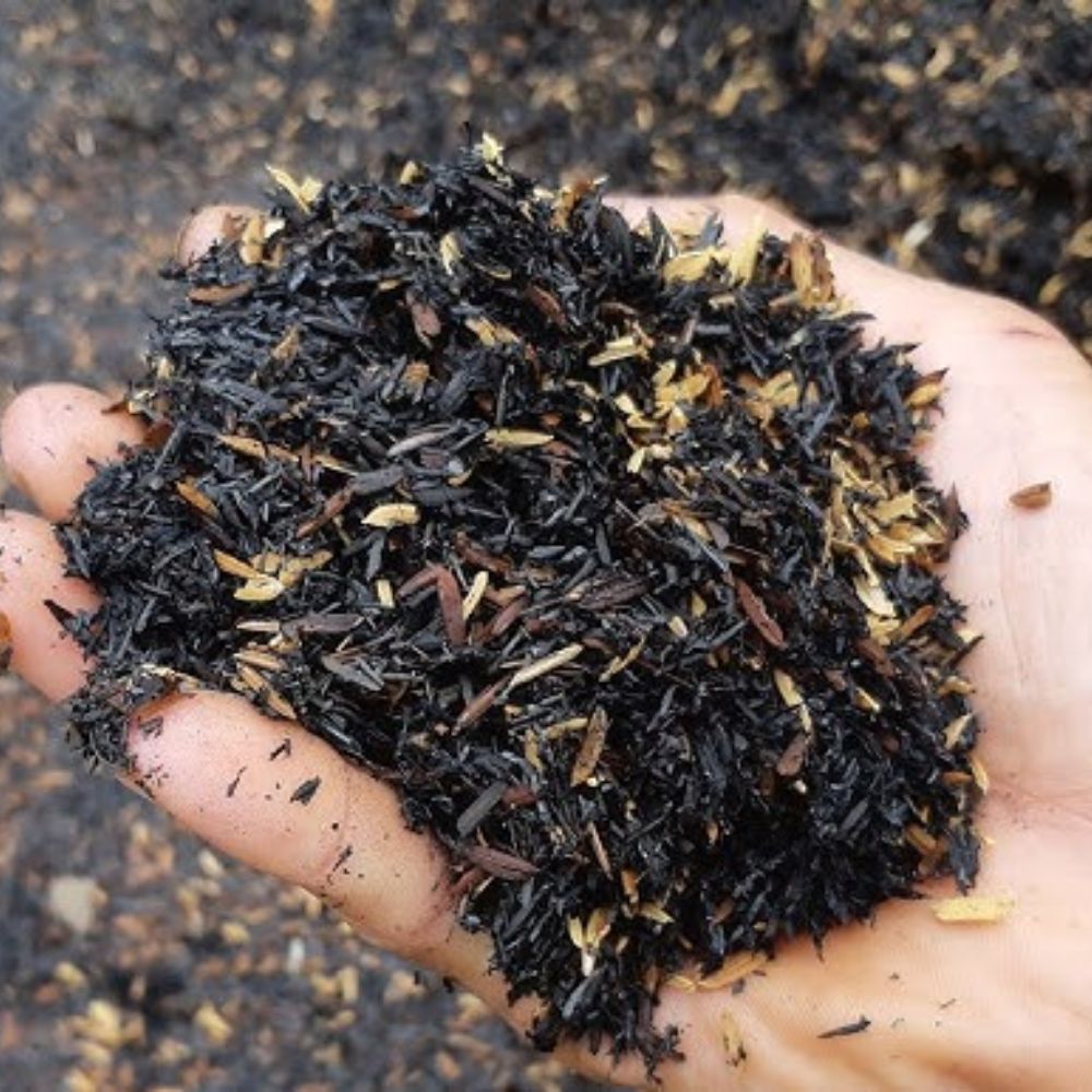 Trấu Có Thể Giúp Cải Thiện Chất Lượng Đất Trồng Ra Sao?