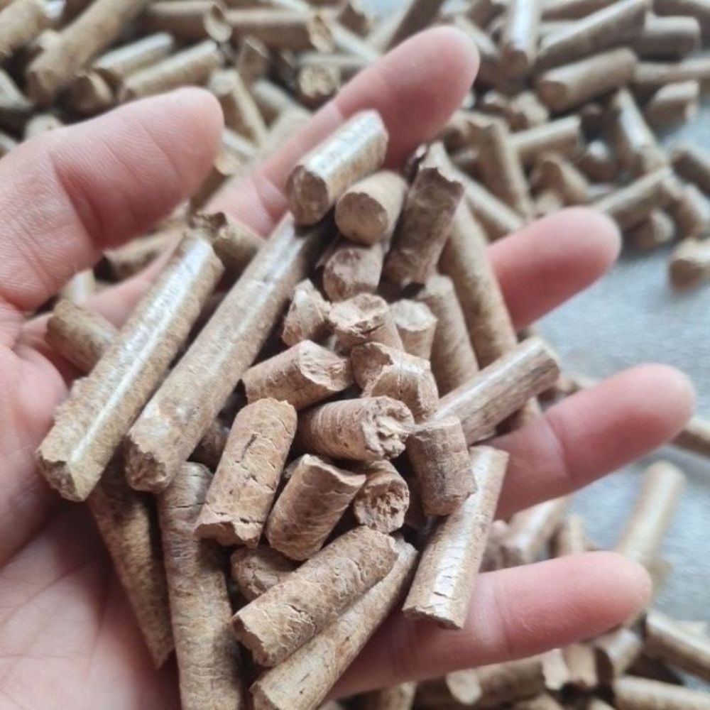 Trấu Viên Có Thể Thay Thế Than Đá Hiệu Quả Đến Đâu?