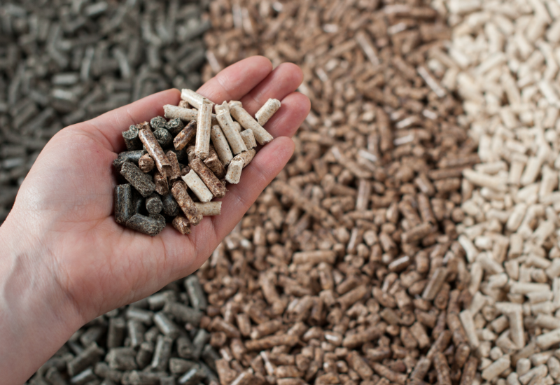 Bảo quản ở nơi khô ráo, thoáng mát