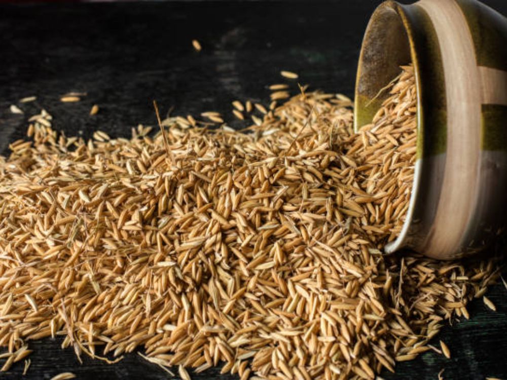 Tận dụng trấu trong chăn nuôi để ủ phân hữu cơ và cải tạo đất