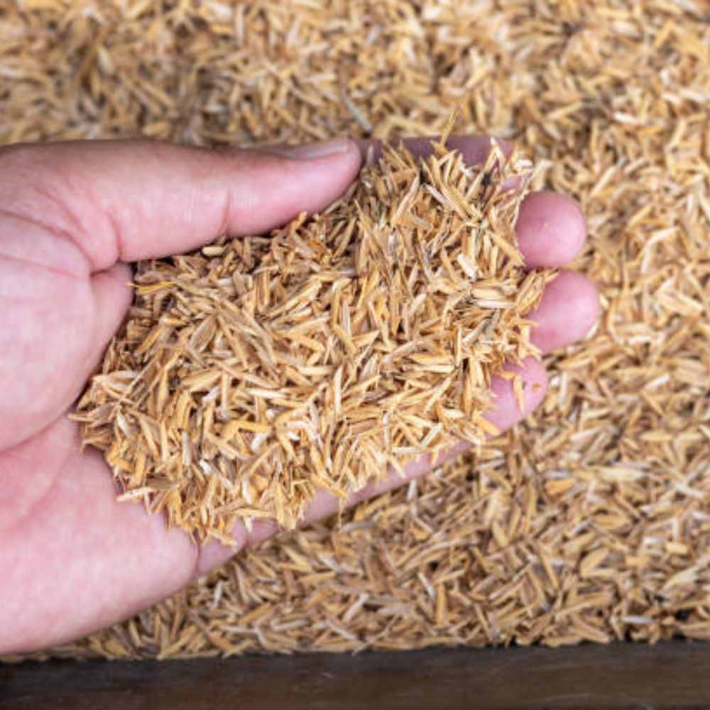 Góp Phần Phát Triển Kinh Tế Tuần Hoàn Từ Trấu