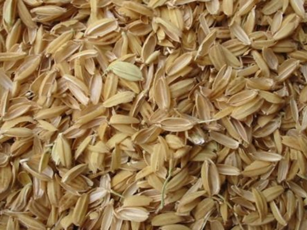 Làm giá thể trong nông nghiệp