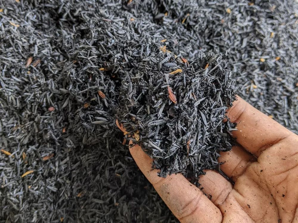 Những ứng dụng bất ngờ của trấu trong sản xuất nông nghiệp hiện đại