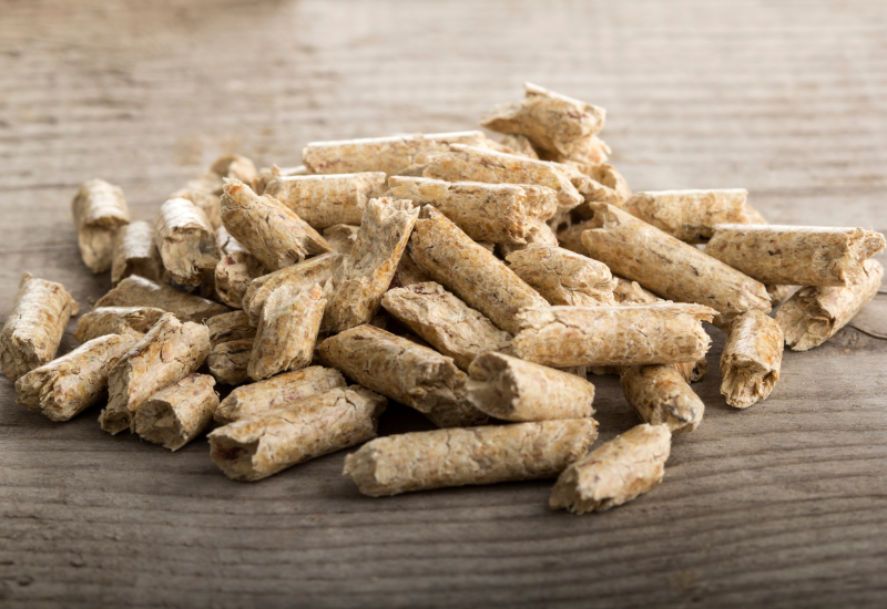 Khả năng vận chuyển và lưu trữ