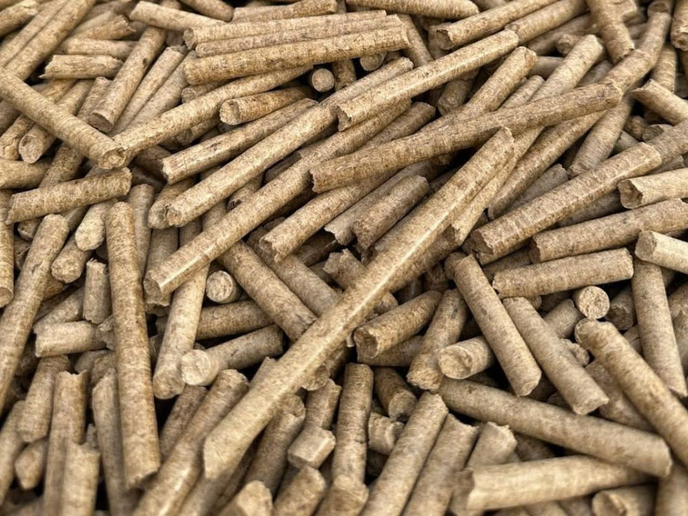 Tối ưu chi phí năng lượng với nhiên liệu trấu viên