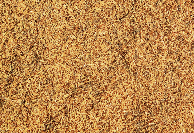 Giảm chi phí chăn nuôi