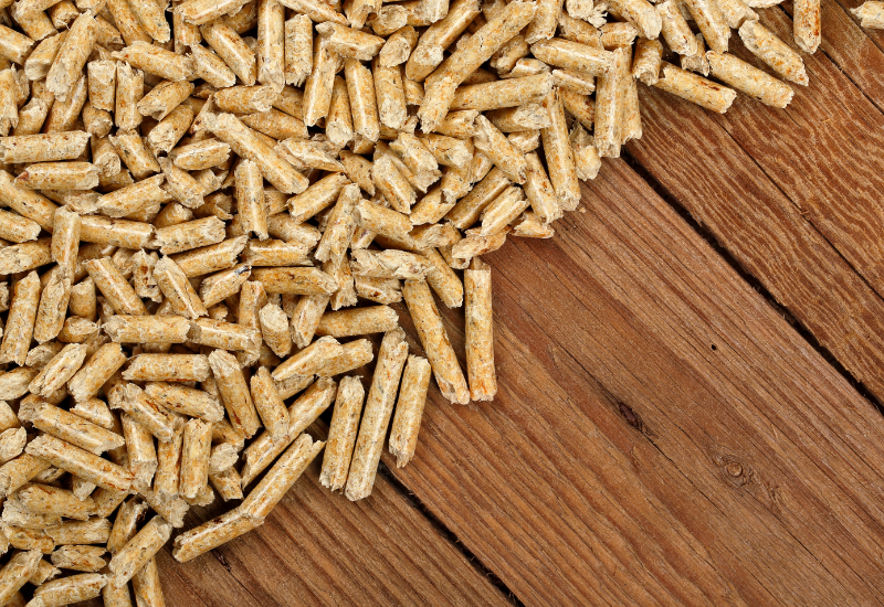 Không đặt trực tiếp xuống nền đất