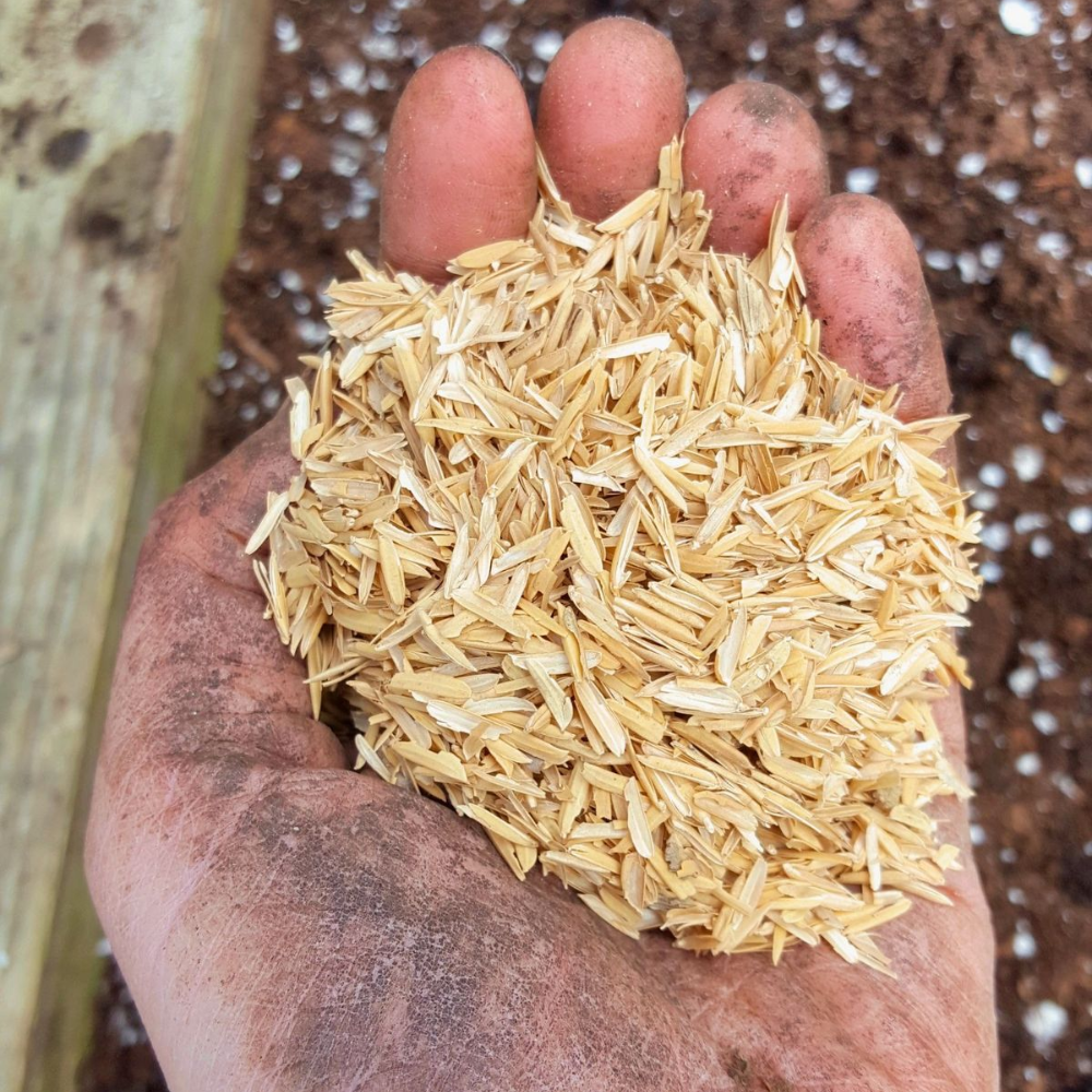 Vỏ Trấu Trong Ngành Chăn Nuôi Và Sản Xuất Phân Hữu Cơ