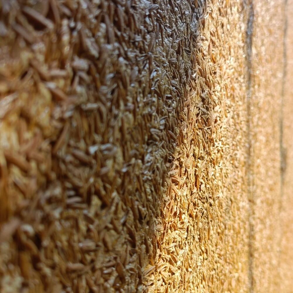 Những Quốc Gia Đang Sử Dụng Trấu Nhiều Nhất Thế Giới