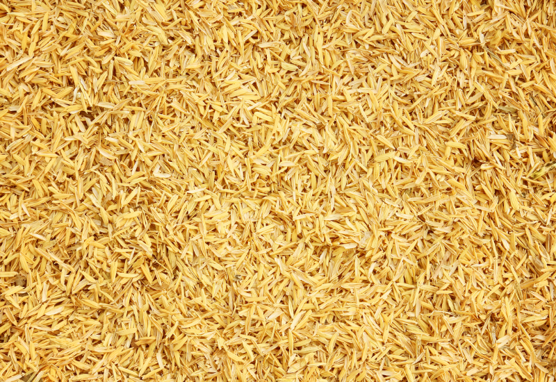 Trấu – Nguồn nguyên liệu sinh khối dồi dào