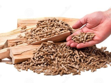 Tận dụng phụ phẩm nông nghiệp mô hình kinh tế tuần hoàn