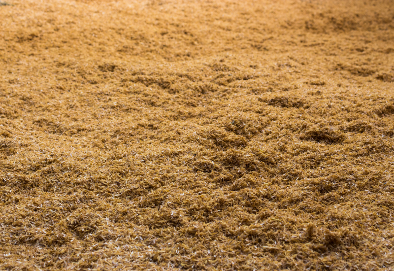 Sử dụng trấu làm giá thể trồng cây