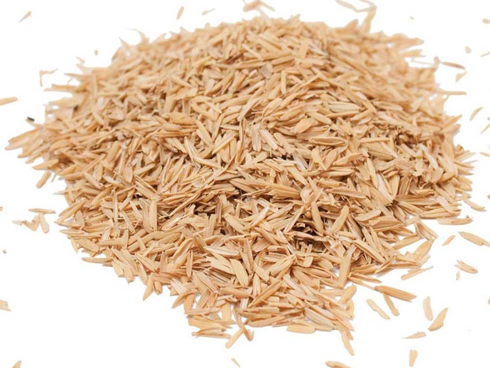 Giá trị và tiềm năng của trấu trong sản xuất và đời sống