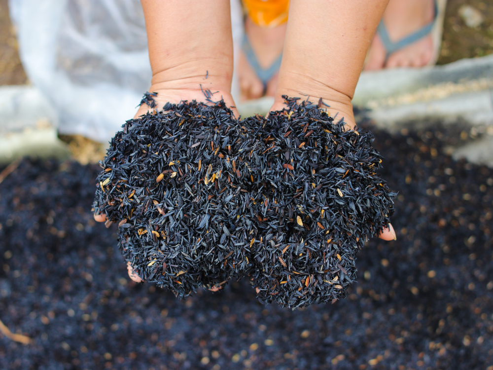 Cung cấp nguồn dinh dưỡng tốt (Đặc biệt là Kali)