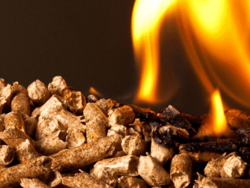 Biến rác thải thành doanh thu (Kinh tế tuần hoàn)