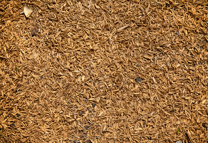 Đốt trực tiếp trong lò hơi