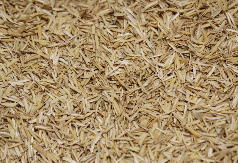 Tái sử dụng làm phân hữu cơ