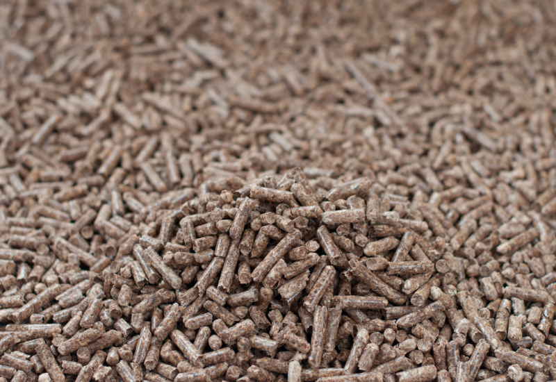 Tiềm năng phát triển trong tương lai