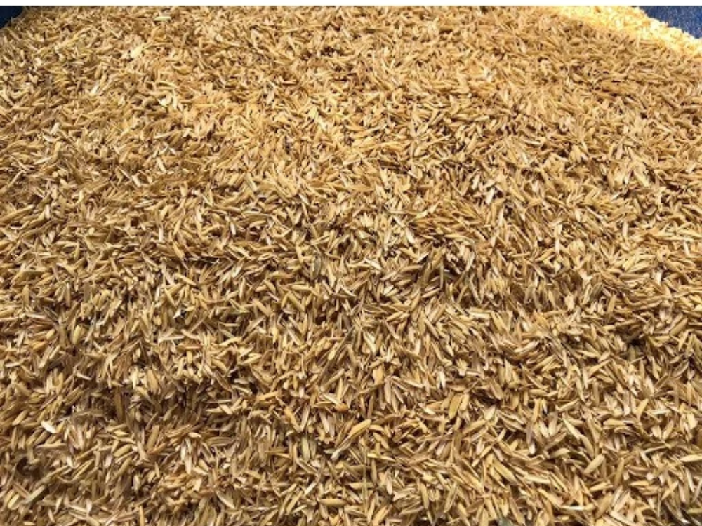 Góp phần phát triển nông nghiệp bền vững