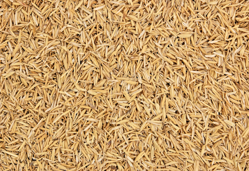 Hỗ trợ mô hình chăn nuôi sinh học