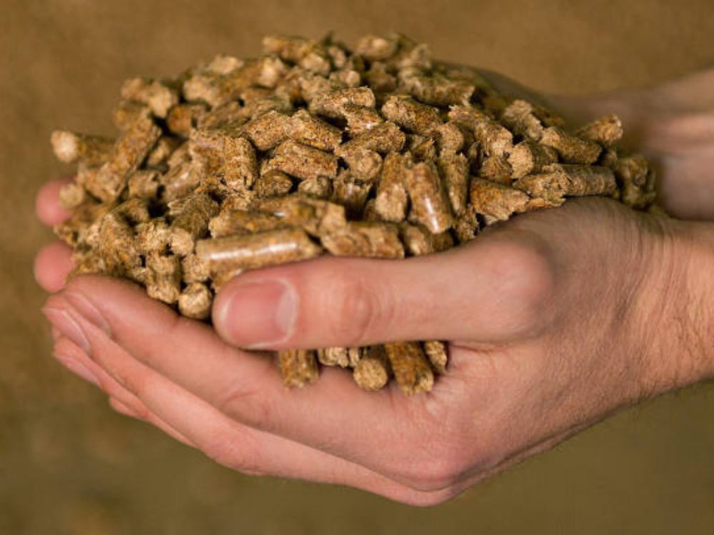 Cung cấp nguồn nhiệt ổn định cho quá trình sấy