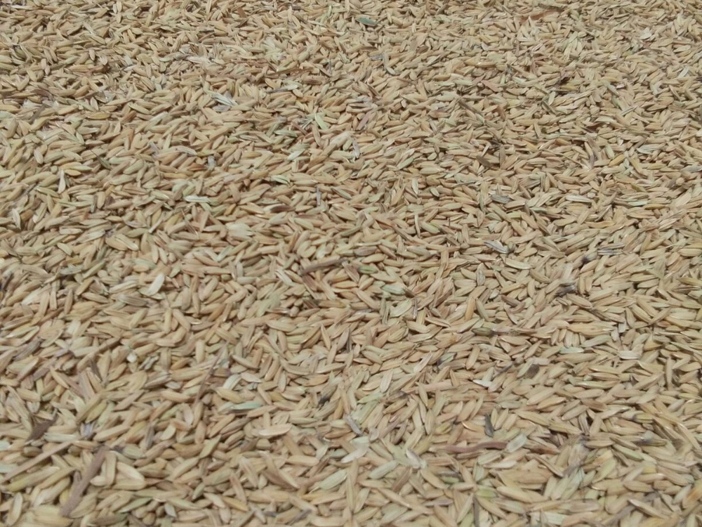 Nhiên liệu đốt trong công nghiệp