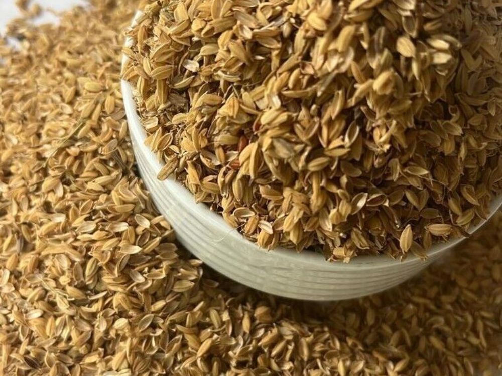 So sánh trấu và than đá: hiệu suất, chi phí và tác động môi trường