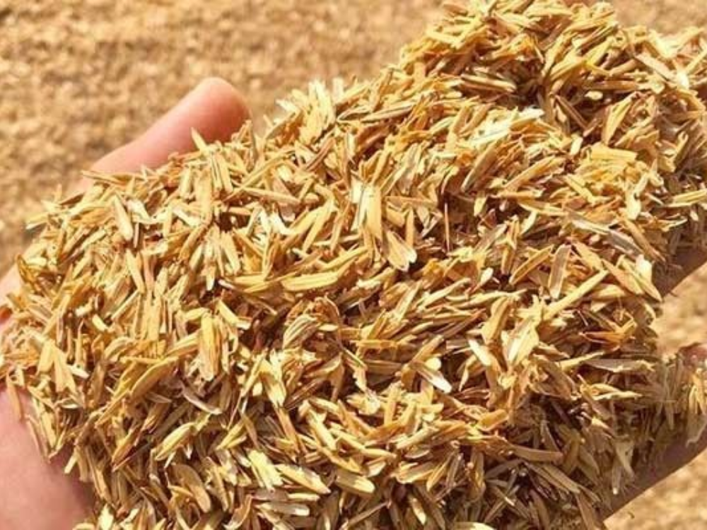 Nguồn nhiên liệu giá rẻ và dồi dào