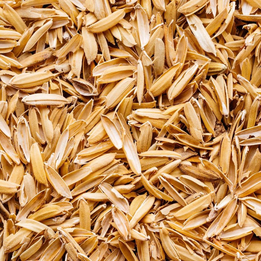 Những Cách Tận Dụng Trấu Hiệu Quả Trong Nông Nghiệp