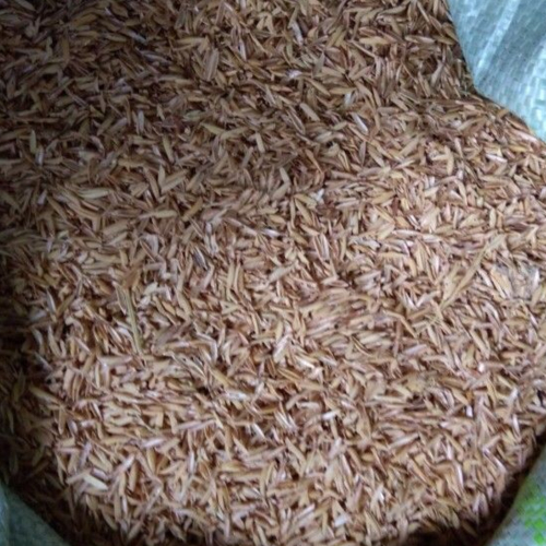 5 Ứng Dụng Phổ Biến Của Vỏ Trấu Trong Sản Xuất