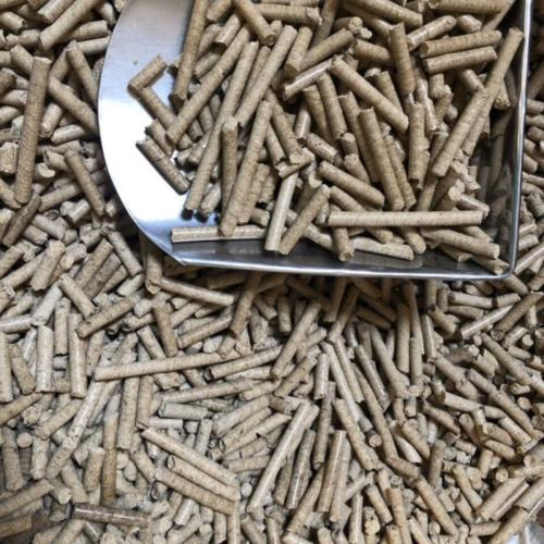 Làn Sóng Chuyển Đổi Sang Nhiên Liệu Trấu Viên Trong Công Nghiệp