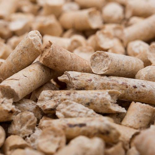 Trấu Viên Có Thể Giúp Tăng Hiệu Suất Lò Đốt Không?