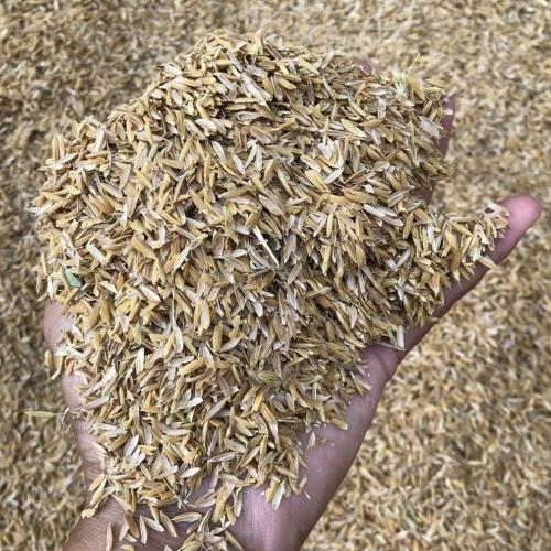 Trấu Có Thể Được Sử Dụng Trong Chăn Nuôi Như Thế Nào?
