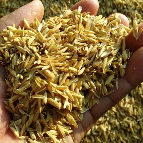 Trấu Có Thể Được Sử Dụng Vào Những Mục Đích Gì Trong Đời Sống?