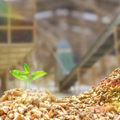 Lợi Ích Của Chuỗi Cung Ứng Carbon Thấp: Chìa Khóa Bền Vững & Giải Pháp Xanh Hiện Đại