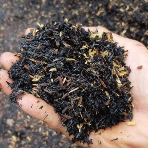 Trấu Có Thể Giúp Cải Thiện Chất Lượng Đất Trồng Ra Sao?