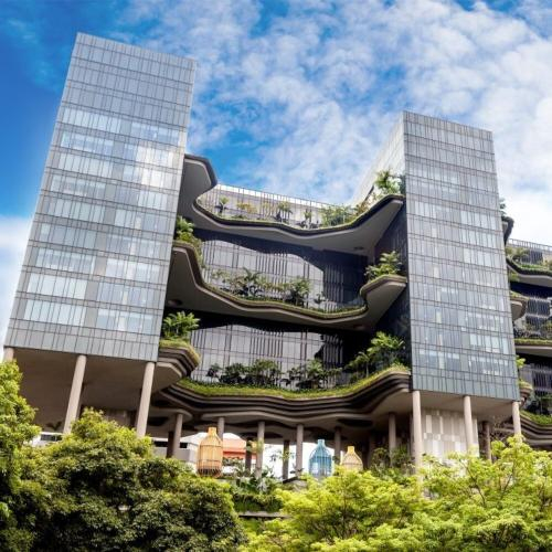 Trấu Và Xu Hướng Vật Liệu Xanh Trong Kiến Trúc Hiện Đại